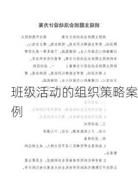 班级活动的组织策略案例