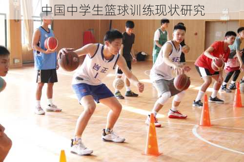 中国中学生篮球训练现状研究