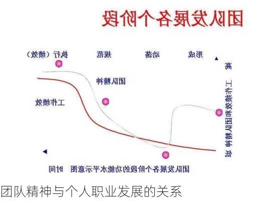 团队精神与个人职业发展的关系