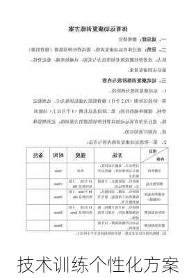 技术训练个性化方案