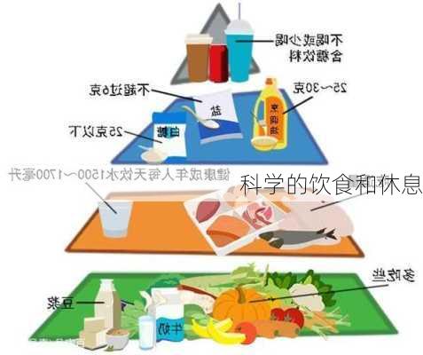 科学的饮食和休息