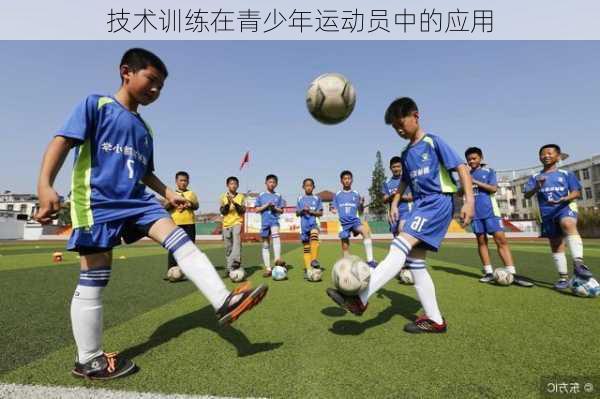 技术训练在青少年运动员中的应用