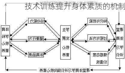 技术训练提升身体素质的机制