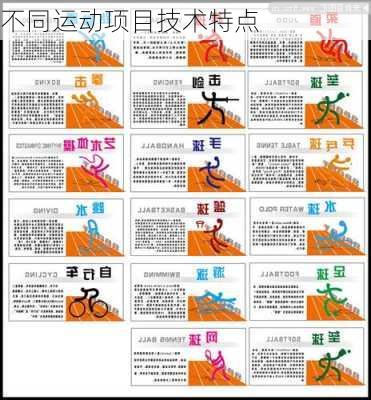 不同运动项目技术特点