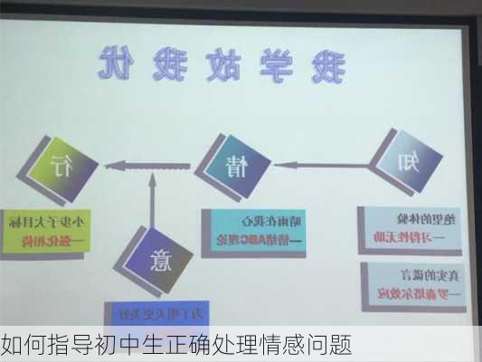 如何指导初中生正确处理情感问题