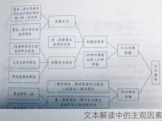 文本解读中的主观因素