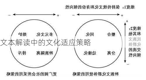 文本解读中的文化适应策略
