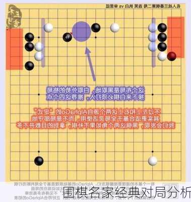 围棋名家经典对局分析