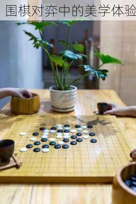 围棋对弈中的美学体验