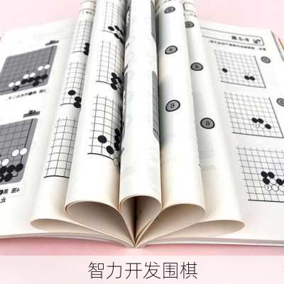 智力开发围棋