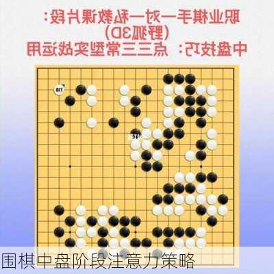 围棋中盘阶段注意力策略