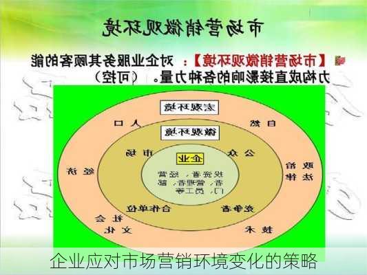 企业应对市场营销环境变化的策略