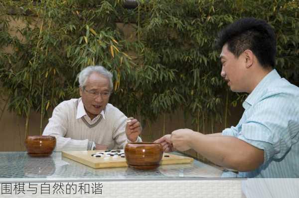 围棋与自然的和谐