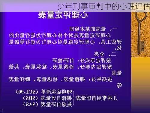 少年刑事审判中的心理评估