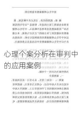 心理个案分析在审判中的应用案例