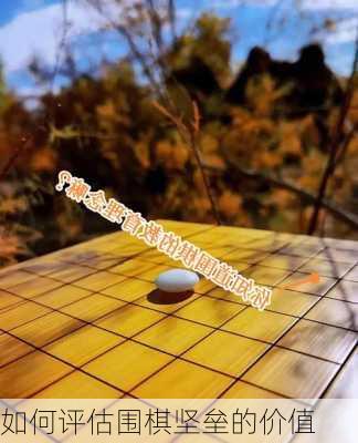 如何评估围棋坚垒的价值