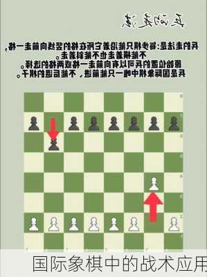 国际象棋中的战术应用