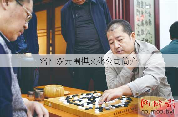 洛阳双元围棋文化公司简介