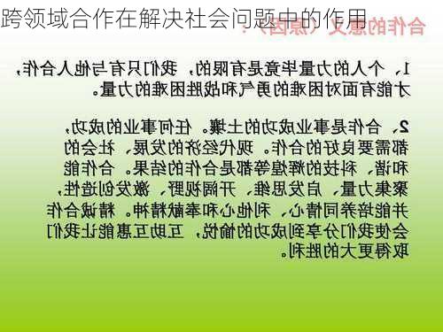 跨领域合作在解决社会问题中的作用