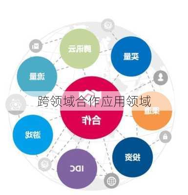 跨领域合作应用领域