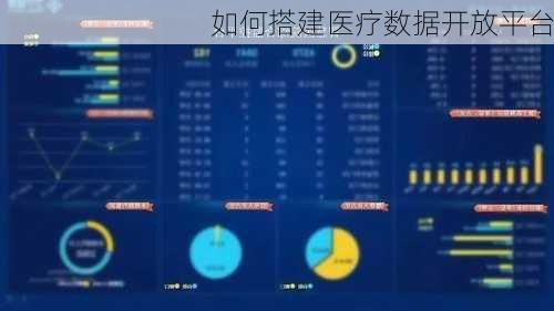 如何搭建医疗数据开放平台