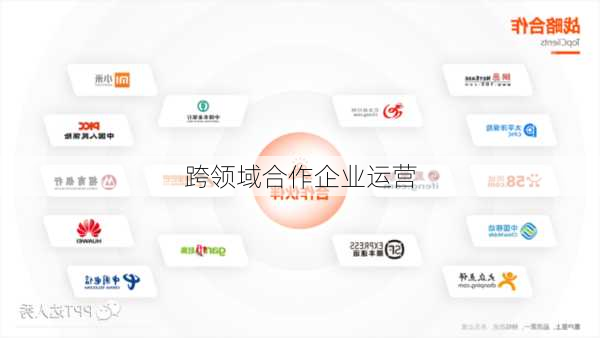 跨领域合作企业运营