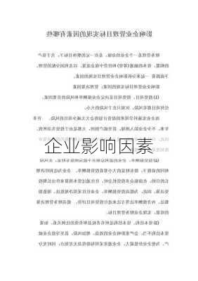 企业影响因素