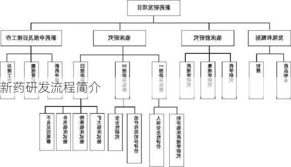 新药研发流程简介