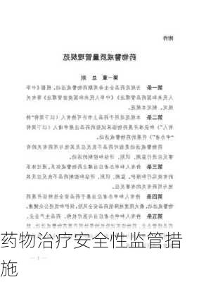 药物治疗安全性监管措施