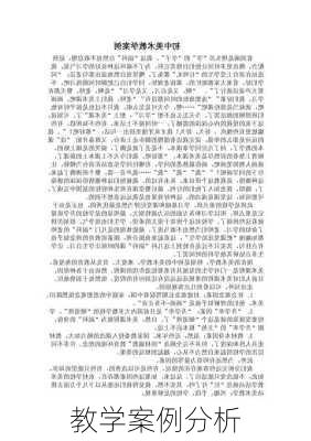 教学案例分析