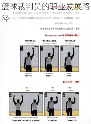 篮球裁判员的职业发展路径