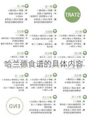 哈兰德食谱的具体内容