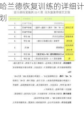 哈兰德恢复训练的详细计划