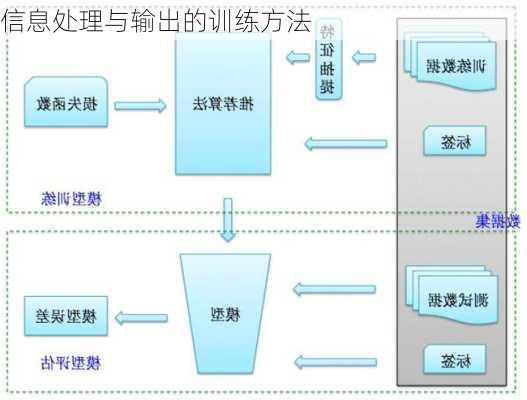 信息处理与输出的训练方法