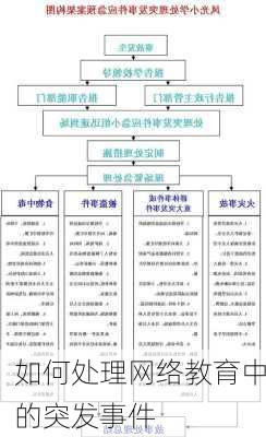 如何处理网络教育中的突发事件