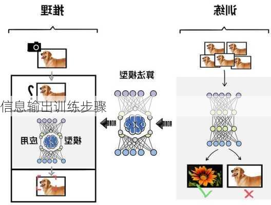 信息输出训练步骤