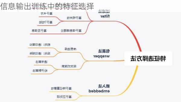 信息输出训练中的特征选择
