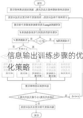 信息输出训练步骤的优化策略