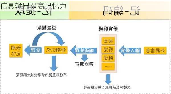 信息输出提高记忆力
