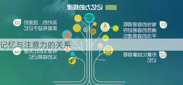 记忆与注意力的关系