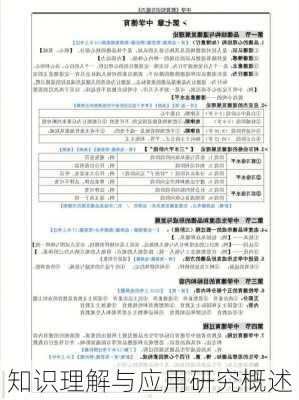 知识理解与应用研究概述