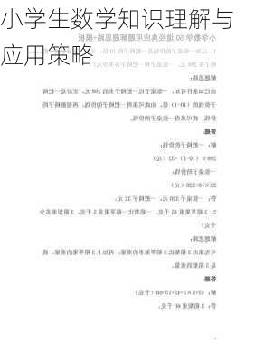 小学生数学知识理解与应用策略