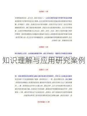 知识理解与应用研究案例