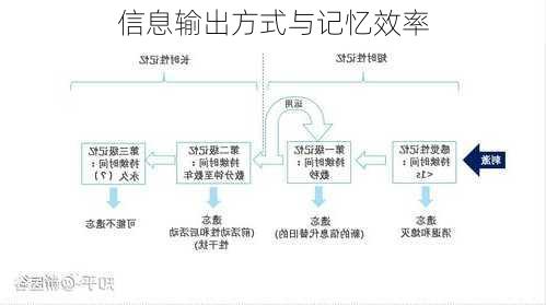 信息输出方式与记忆效率
