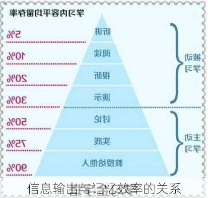信息输出与记忆效率的关系