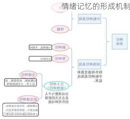 情绪记忆的形成机制