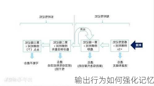 输出行为如何强化记忆