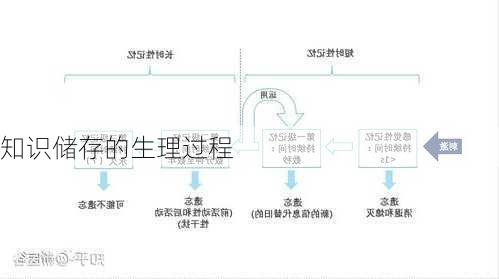 知识储存的生理过程