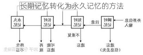 长期记忆转化为永久记忆的方法