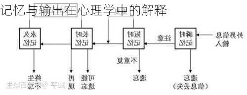 记忆与输出在心理学中的解释